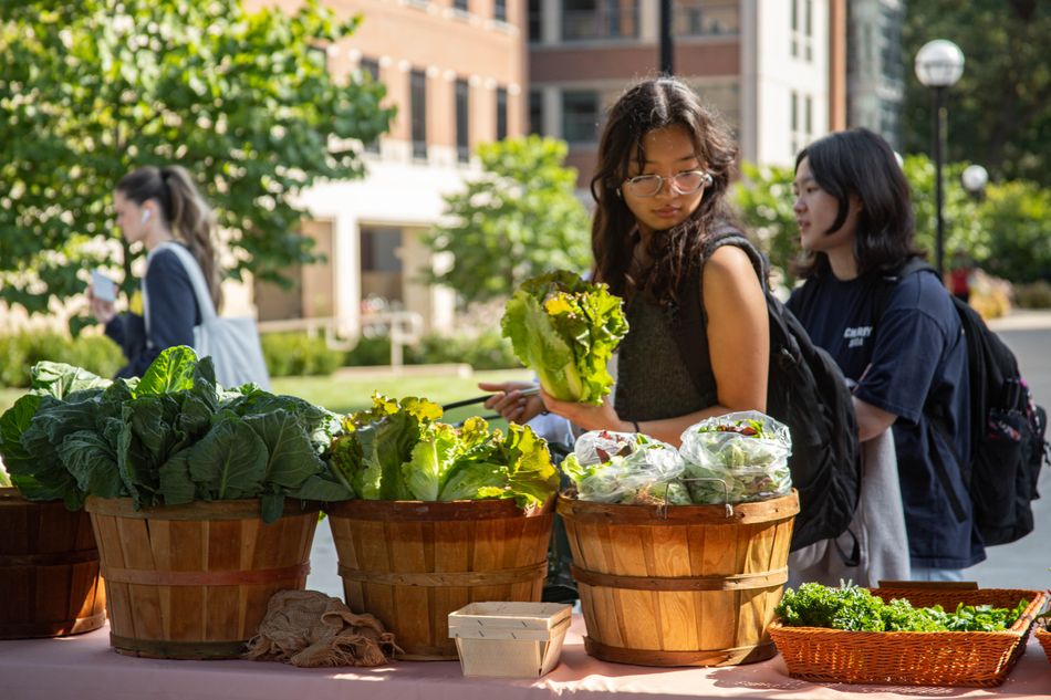 Student browsing the Farm Stand produce selection