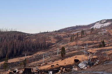 The burn scar of the Caldor Fire, which consumed 221,835 acres of the Eldorado National Forest and other areas of the Sierra Nevada in El Dorado, Amador, and Alpine County during the 2021 California wildfire season. 