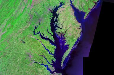 Satellite (Landsat) picture of Chesapeake Bay (center) and Delaware Bay (upper right) – and Atlantic coast of the central-eastern United States. Image credit: Landsat/NASA, via Wikimedia Commons