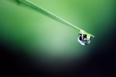 raindrop on a blade of grass