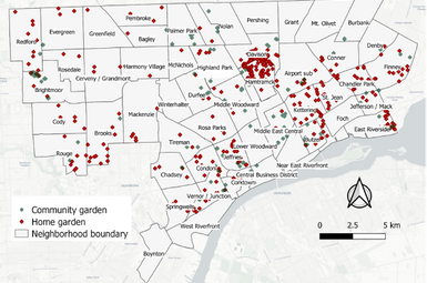 Spatial distribution of home gardens (N =478) and community gardens (N =130) in the 56 neighborhoods of Detroit, Highland Park, and Hamtramck. Image courtesy of the researchers