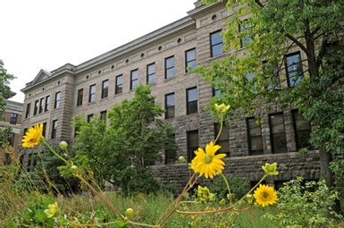 U-M School for Environment and Sustainability