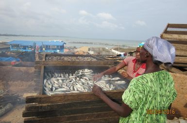 Fish being smoked in the coastal Ghanaian city of Elmina. The fish are loaded onto wood-framed metal screens that are then stacked atop rudimentary, wood-fired mud ovens. Image credit Pam Jagger