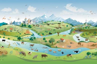 An illustration featuring animals in a rural landscape, with a city and mountain range near the horizon