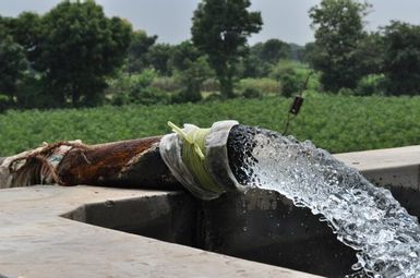 Water pumped from a deep irrigation well, called a tube well, at a wheat farm in west India’s Gujarat state. Image Credit: Meha Jain