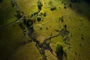 Aerial view of the prairie fen at the Arnolds’ Farm in Brooklyn, Michigan. Image credit: Eric Bronson