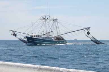 A shrimp boat trawls for shrimp in the Gulf of Mexico. Image credit: Brendan Turley, NOAA Fisheries