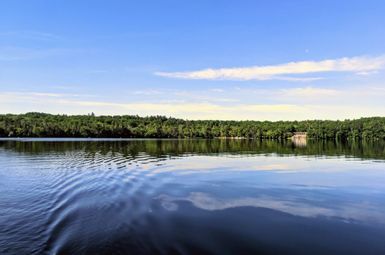 The U-M Biological Station from South Fishtail Bay, Douglas Lake. Image credit: U-M Biological Station.