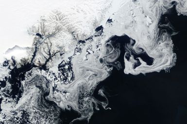 In this view from the Terra satellite, chunks of sea ice appear as white swirls off the coast of Greenland. As the ice thins and darkens, it reflects less sunlight than solid ice sheets, speeding up global heating. Image credit: NASA’s Earth Observatory.