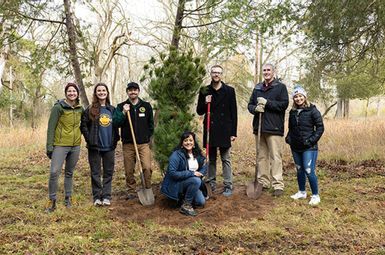 Individuals from SEAS, the Michigan Department of Natural Resources, and Great Lakes St. Lawrence Governors and Premiers took part in a ceremonial tree planting at one of SEAS’ research natural areas. From left: Amy Van Zanen, Anna Gossard, Jason Stephens, Sucila Fernandes, Mike Piskur, David Naftzger, and Vianey Rueda