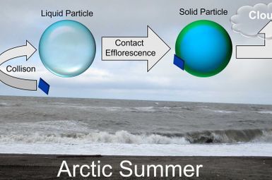 As the Arctic loses ice, researchers expect to see more of these unique particles formed from oceanic emissions combined with ammonia from birds, which will impact cloud formation and climate. Image courtesy: Andrew Ault and Matt Gunsch