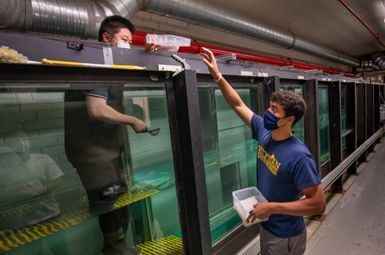 Yukun Sun, a graduate student research assistant, and William Leal, an undergraduate research assistant, both in the Department of Naval Architecture and Marine Engineering at U-M, place microplastic pellets on the water in the wind wave tank at the Marine Hydrodynamics Laboratory. Image credit: Robert Coelius, Michigan Engineering