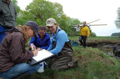 NERRS Science Collaborative-supported work at the Great Bay National Estuarine Research Reserve in New Hampshire. Image credit: Rebecca Zeiber