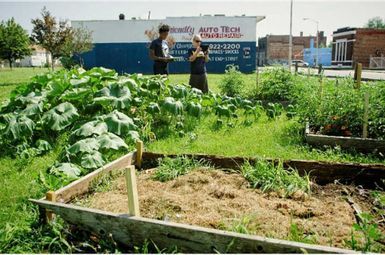 Students assessing an urban agricultural site in Detroit’s Lower Eastside. Image credit: Photo by Dave Brenner/University of Michigan, from Newell et al. in the journal Cities, 2022