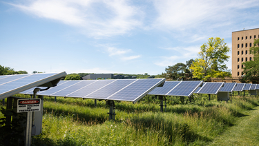 An array of solar panels