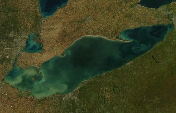 Satellite image of shoreline