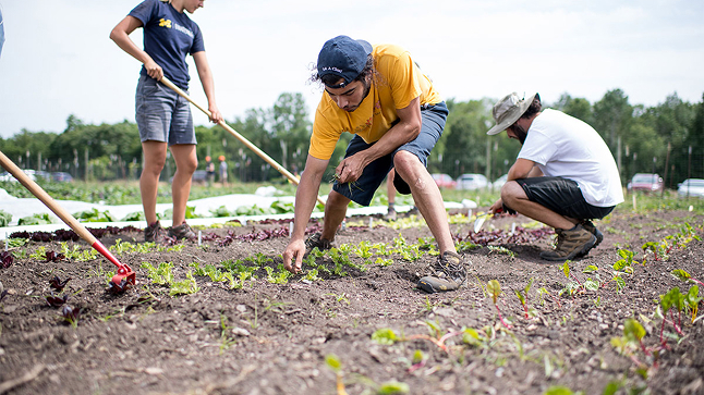 Students working on a farm