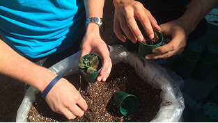 Students digging in soil