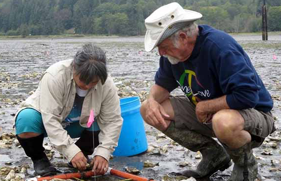 Two researchers collecting soil samples into a blue bucket