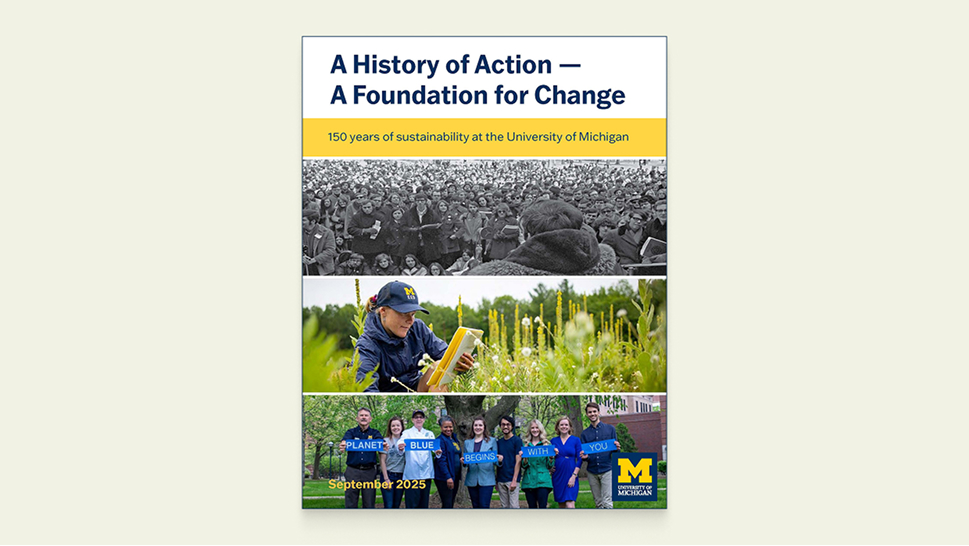 Cover of the report "A History of Action - A Foundation for Change"
